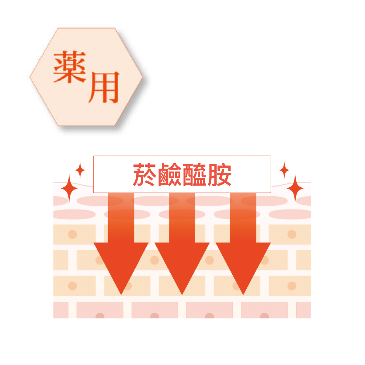 STSN-152312_Product_Detail-03